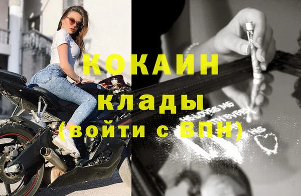 хмурый Мегион