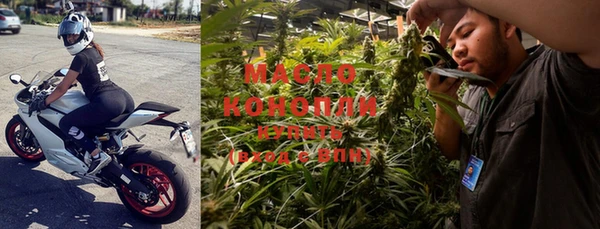 хмурый Мегион