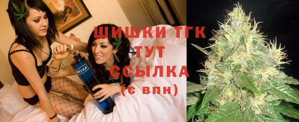 хмурый Мегион