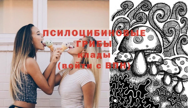 хмурый Мегион