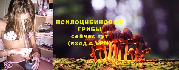 хмурый Мегион