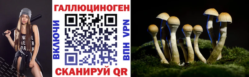 Галлюциногенные грибы GOLDEN TEACHER  Горячеводский 